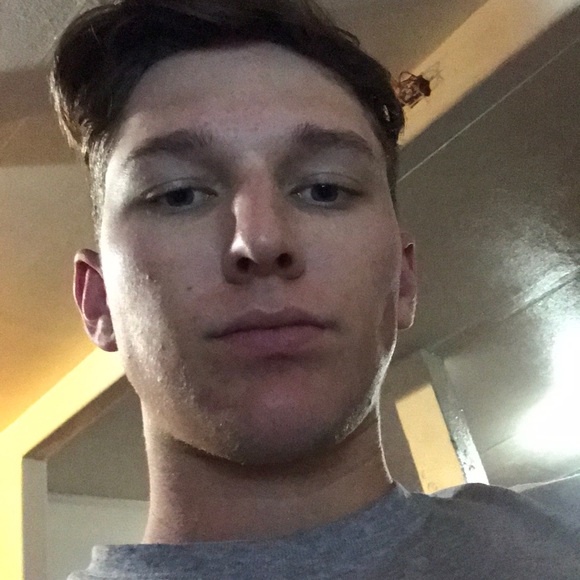 willshelton3